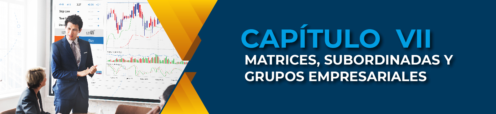Capítulo VII Matrices, Subordinadas Y Grupos Empresariales 
