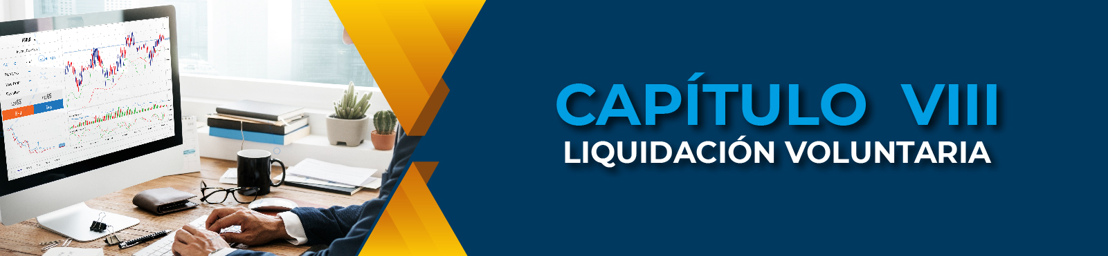 Capítulo VIII Liquidación Voluntaria 
