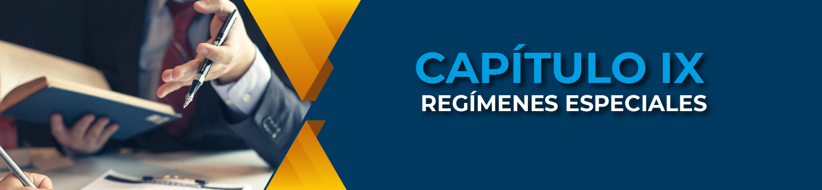 Capítulo IX Regímenes Especiales 