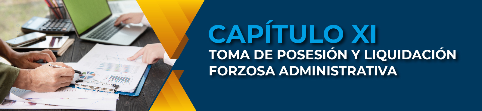 Capítulo XI Toma De Posesión Y Liquidación Forzosa Administrativa 