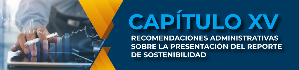 Capítulo XV Recomendaciones administrativas sobre la presentación del reporte de sostenibilidad