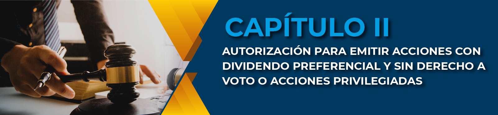 Capítulo II Autorización Para Emitir Acciones Con Dividendo Preferencial Y Sin Derecho A Voto O Acciones Privilegiadas 