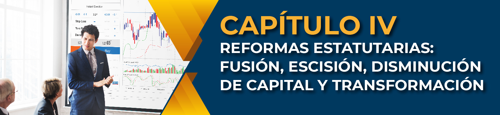 Capítulo IV Reformas Estatutarias: Fusión, Escisión, Disminución De Capital Y Transformación