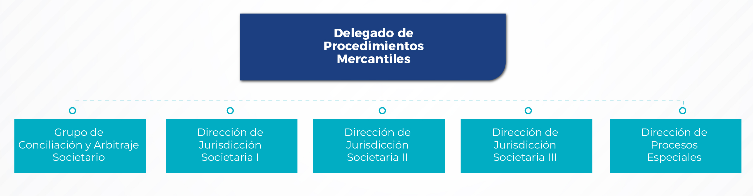Estructura delegatura mercantil