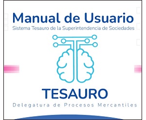 Manual de usuario Tesauro