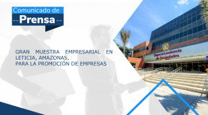 Vista en miniatura