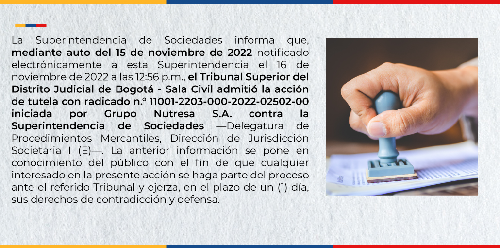 Superintendencia de Sociedades, auto del 15 de noviembre de 2022