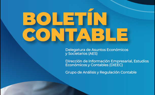 Miniatura-Boletin-contable-2024-1 Miniatura-Boletin-contable-2024-1
