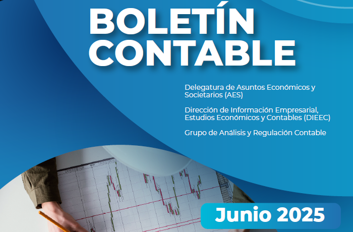 Miniatura-Boletin-contable-2025-1.png Miniatura-Boletin-contable-2025-1.png