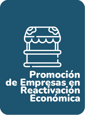 Icono Promoción de Empresas