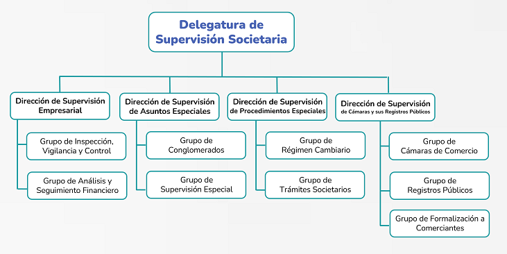 Estructura Delegatura de Supervisión Societaria