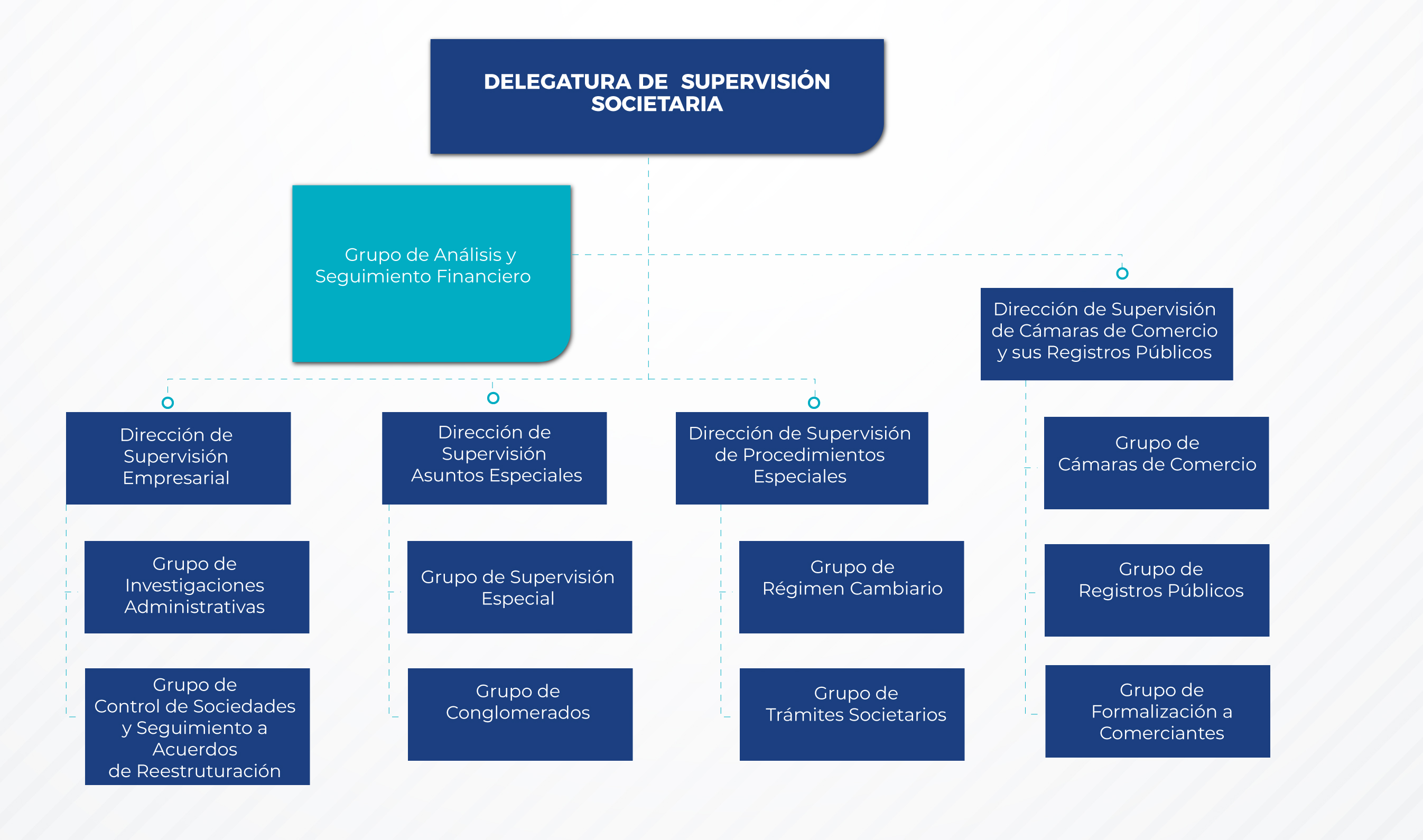 Estructura Delegatura de Supervisión Societaria